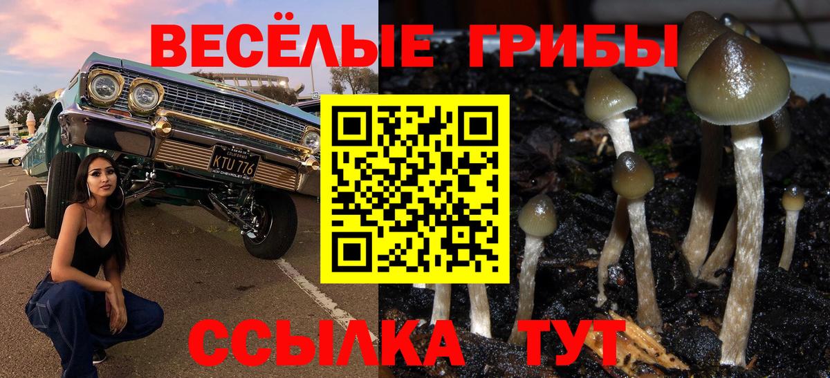 Галлюциногенные грибы Cubensis Радужный